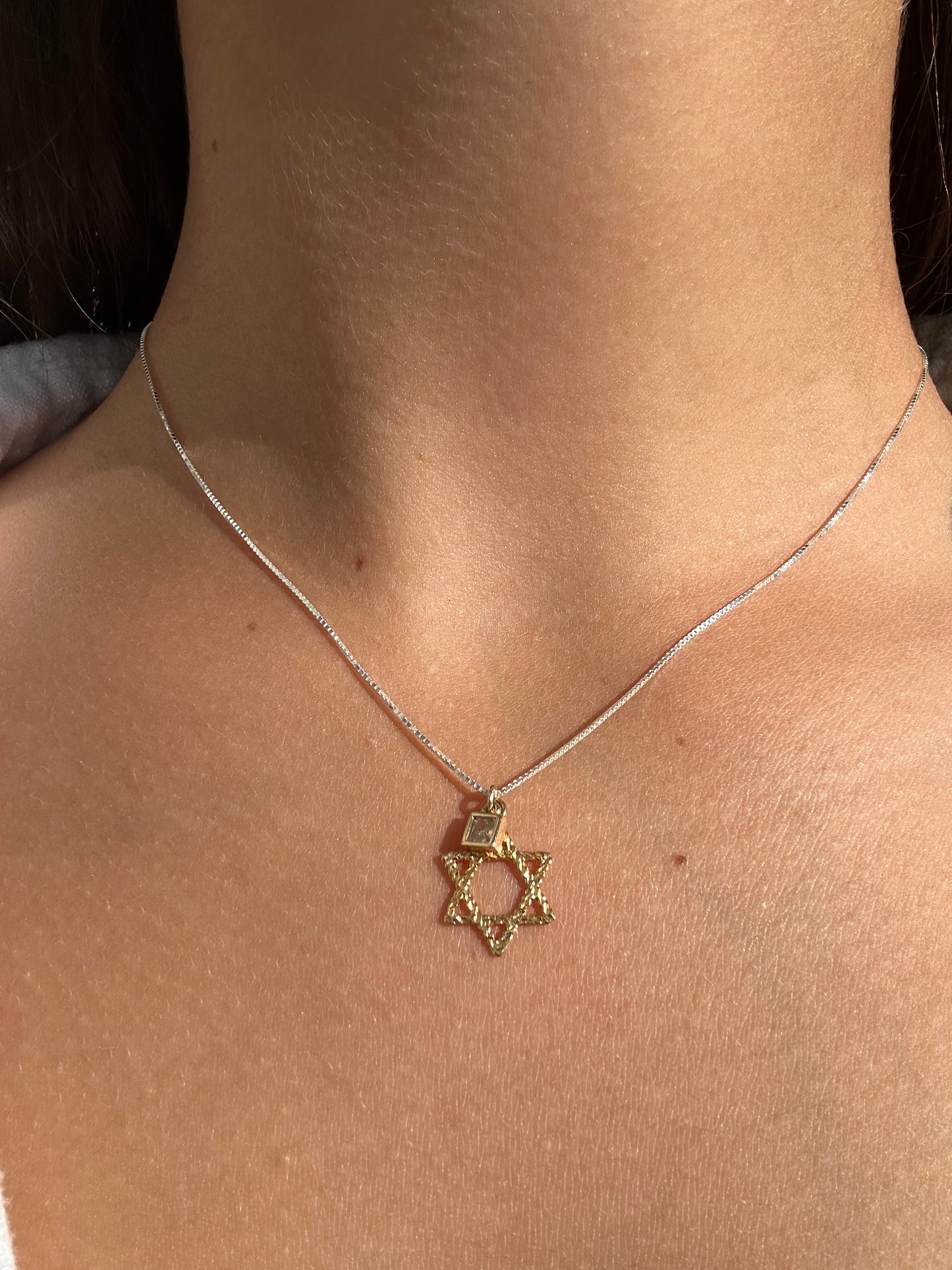 Gold/Silver Jewish Star Necklace