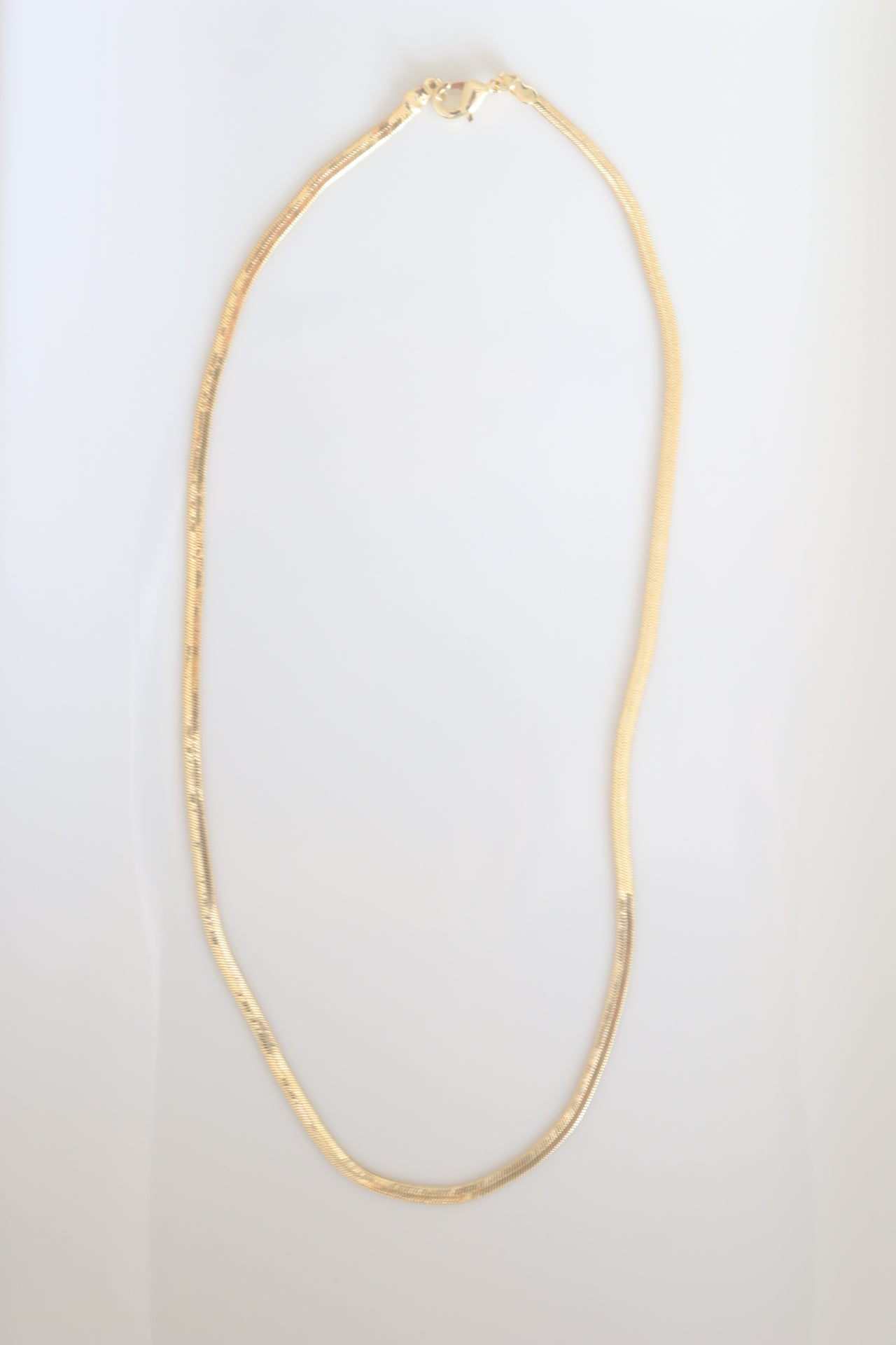 Snake Chain Necklace
